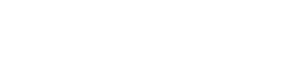 ION Identity